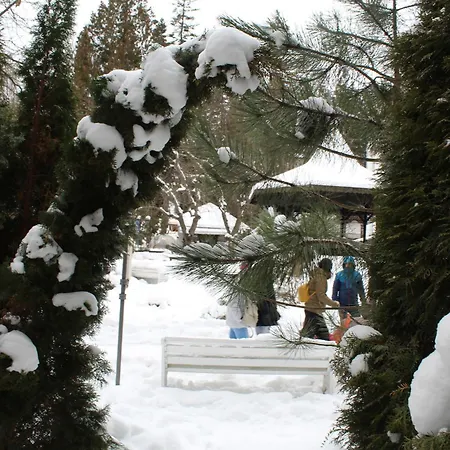 Apartment Park View Sinaia